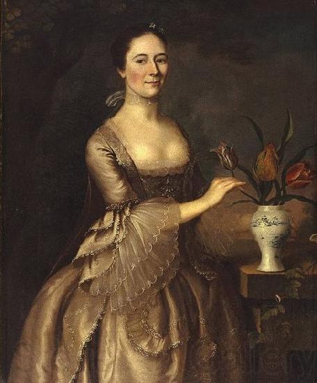 Joseph Blackburn Portrait of a Woman Spain oil painting art